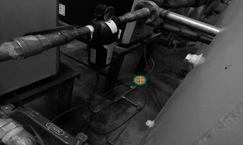 Multiple leaks detected in valve assembly